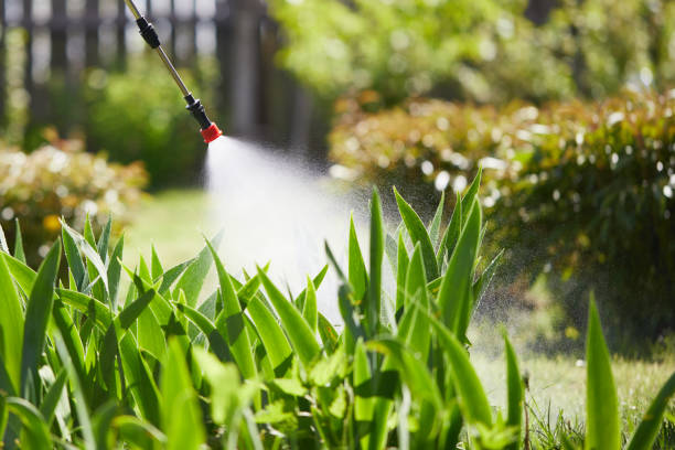 24/7 Emergency Cockroach Control experts in Wheaton, MN