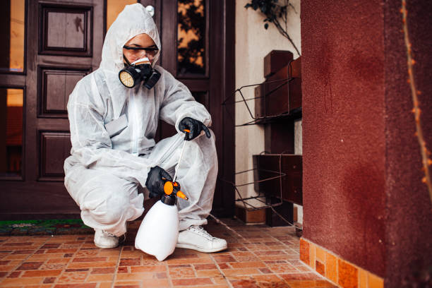 Reliable Cockroach Control contractor in Wheaton, MN by Nex Pest Control